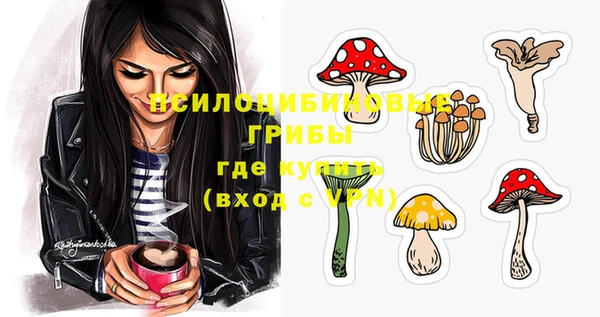 меф Арсеньев
