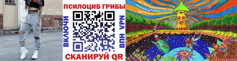 Галлюциногенные грибы Psilocybine cubensis наркота Россошь